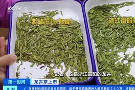 西湖龙井市场调查：一斤最高卖3万多元 同一产地价格差1倍图片