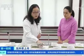 一斤龙井卖3万多元？同一产地，价格为啥差1倍图片