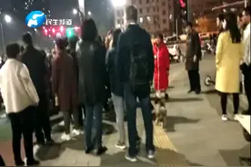 家长注意！郑州街头一名妇女疑当街抢孩子，9岁姐姐紧抱弟弟反被扇脸图片