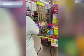 泰国一只巨型蜥蜴闯进一家便利店 爬上货架顶部寻找食物图片