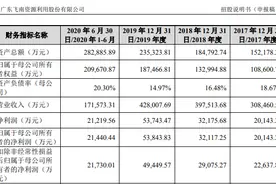飞南资源冲刺IPO：每年从危废中提炼金属获利超30亿 担忧垃圾不够多图片