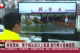 陕西渭南：男子误从出口上高速  逆行两公里被处罚视频封面