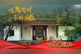 习近平讲述的故事丨惟楚有材，于斯为盛视频封面