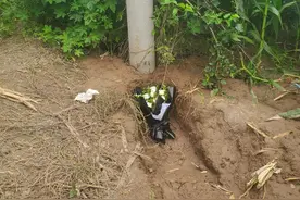 任丘12岁女孩被绑架致死案今日开庭 家属：不要赔偿，希望凶手被判死刑图片