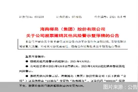 乌龙影响消除 海南椰岛将撤销其他风险警示图片