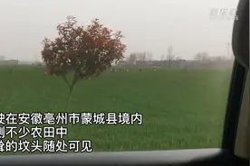 麦田“长”出豪华墓，为哪般？图片