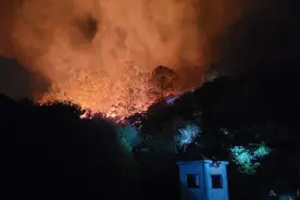 坪山区深夜突发山火，相关部门回应：当晚已扑灭、无人员伤亡图片