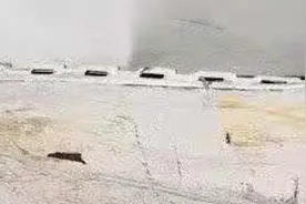 乘客殴打出租车司机头部致事故，被行政拘留视频封面