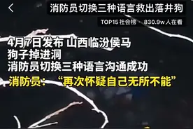 山西一消防员切换三种语言和落井狗沟通，最终用“犬语”成功将其救出图片