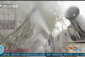 喷药剂、吹果絮、控修剪、发预报，南京法桐果絮综合治理效果显著视频封面