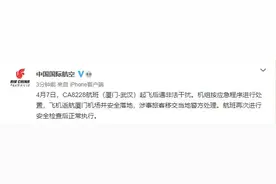 厦门飞武汉航班因乘客谎称有炸弹返航图片