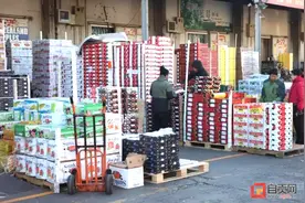 拼多多川南区域配送交易中心落户自贡 今年年底将投入运营图片