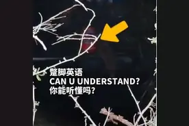 消防员救“落水狗”，中英双语轮番沟通失败，切换成第三种“语言”终成功图片