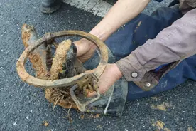 男子被捕兽夹“咬”住脚掌，被救后问消防员：要收多少钱？图片