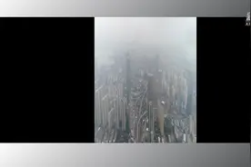 MV：你的背影，面朝大海花开的歌图片