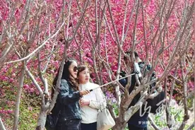 山西景区恢复旺季门票价，这些景区推出了优惠活动，可别错过图片