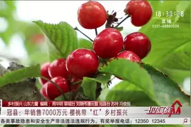 冠县这个村家家户户种樱桃，年销售7000万元，村民种出火红生活视频封面