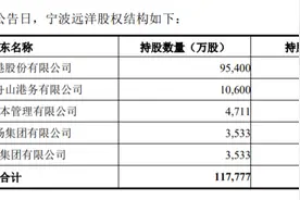宁波港：拟分拆宁波远洋至上交所主板上市图片