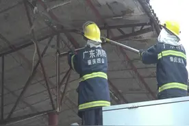 毒蛇缠绕铁棚上，肇庆消防抓蛇解民忧图片