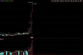 一天换手率超80%，4天股价翻倍，这只次新股怎么啦？图片