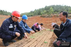 云南沾益：电力托起贫困山乡振兴梦图片