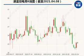 通富微电去年净利润3.38亿“大金链子”梁宏旗下基金新进前十大流通股东图片
