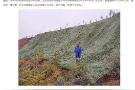 祁连山子公司越界采矿被罚没近7300万，可能还要赔偿巨额修复费图片