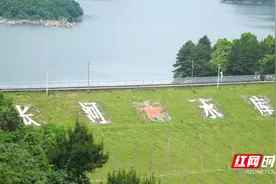 庄宗琳：临武“三峡工程”的功勋图片
