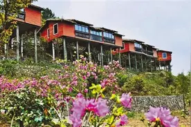 高高的山岗上幸福来敲门 磐安为偏远山区农户定制增收计划图片