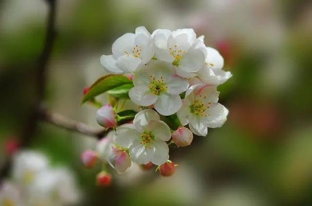 丰县网站建设企业（徐州丰县数字平台助产销 为乡村振兴注入强大动力）