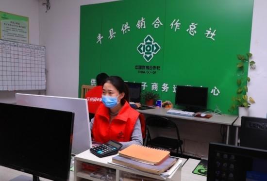 徐州丰县：数字平台助产销 为乡村振兴注入强大动力