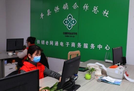 徐州丰县：数字平台助产销 为乡村振兴注入强大动力