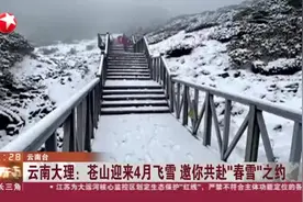 云南大理：苍山迎来4月飞雪  邀你共赴“春雪”之约视频封面