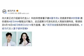 威马汽车官宣董子健、钟楚曦为品牌代言人图片