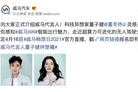 威马汽车官宣董子健、钟楚曦为品牌代言人图片
