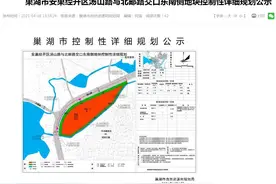 公示！巢湖市公布3宗地块控制性详细规划方案图片