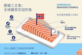 除了三文鱼，富含DHA的挪威青花鱼或将成为中国餐桌上的新“食”尚图片