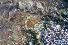 雕在大地上的诗行——世界文化遗产哈尼梯田生态故事图片