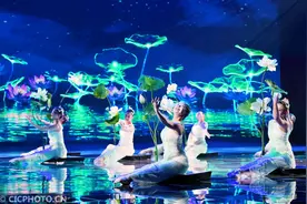 扬州世园会上演独特“光影视听”盛宴图片