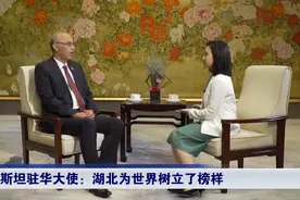 疫后重振看湖北 | 巴基斯坦驻华大使：英雄的湖北为世界树立了榜样图片