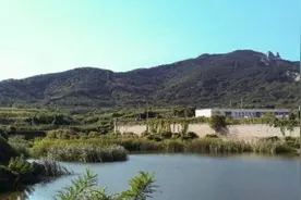 春光（诗三首）图片
