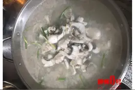 柳州一公园蓄水池“恶鱼”作乱，被做成美食吃了？园方回应：埋了图片