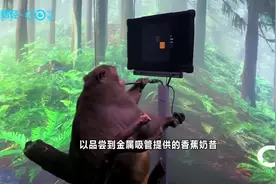 这不是科幻电影！用意念控制物体或成为现实？丨C位视频封面