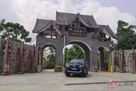 老班章96号茶农李向荣：古树茶带来好日子图片