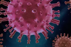 科学家发现冠状病毒致命弱点 适配体分子结合病毒刺突蛋白图片
