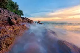 港城鲜味｜防城港的蛏子都长得“白白胖胖”啦，三月三一起来“蛏”霸江湖！图片