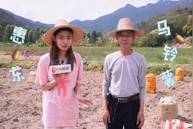 探访惠东马铃薯基地：颜值高口感好，电商砸重金补贴视频封面