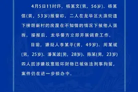 深圳兄弟俩返乡祭祖，回来一看300平米房子没了！4人被刑拘图片