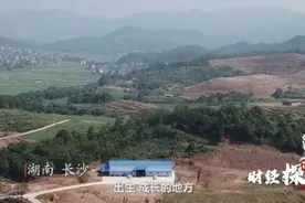 掀起400多亿风浪！传销大案主犯：收割和自己一样的人图片