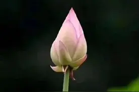 每68个孩子，就有1个自闭症！快自查，娃有这10个表现可能“中招”图片